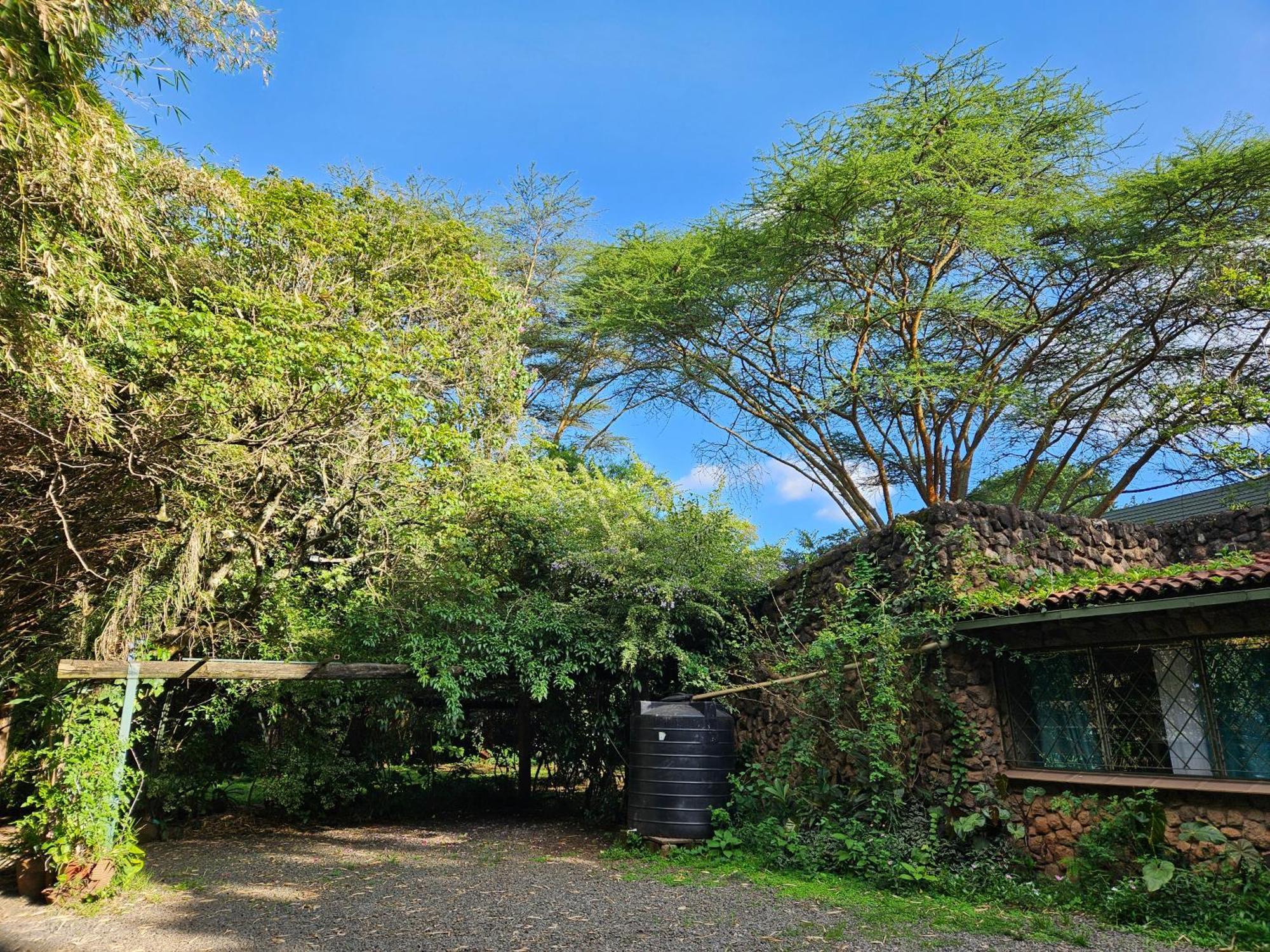 Mad Vervet Nairobi Backpackers Hostel Dış mekan fotoğraf